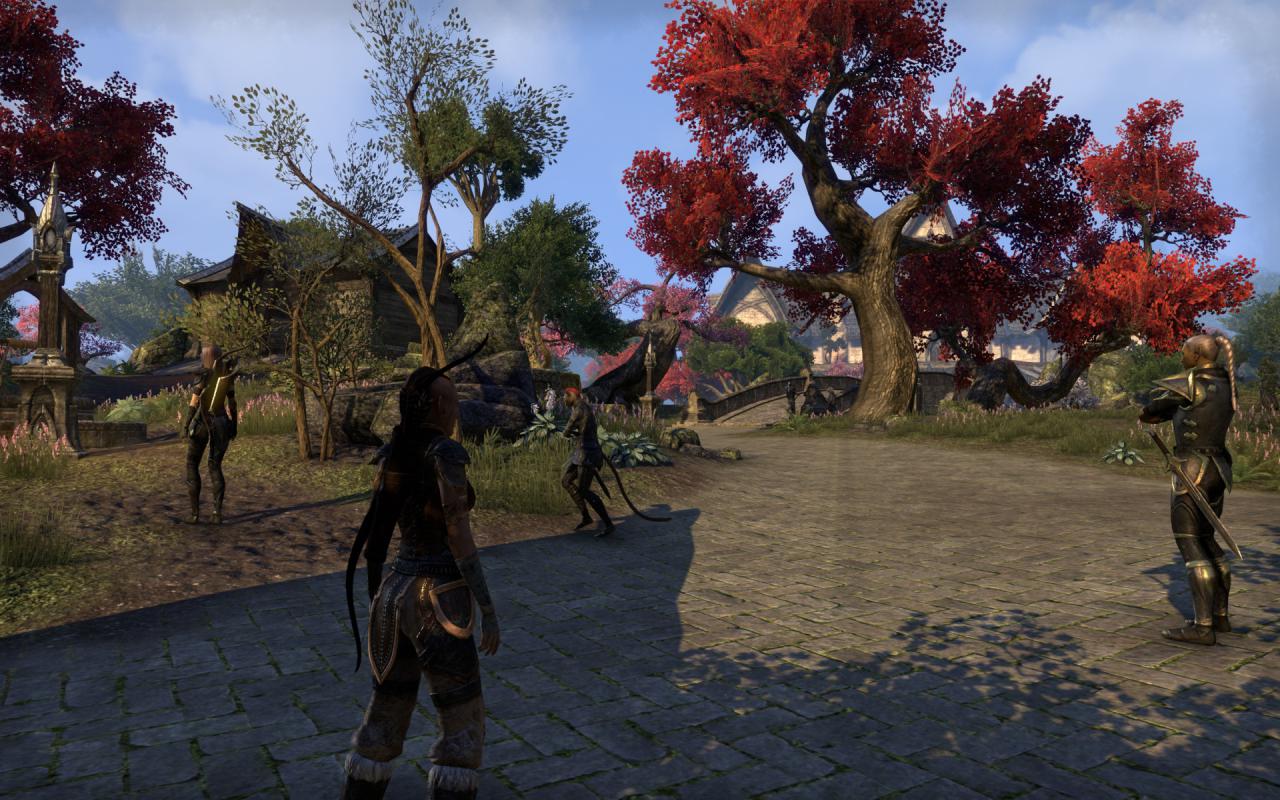 [16/04/2014] TESO - Elder Scrolls Online downsampled (60)