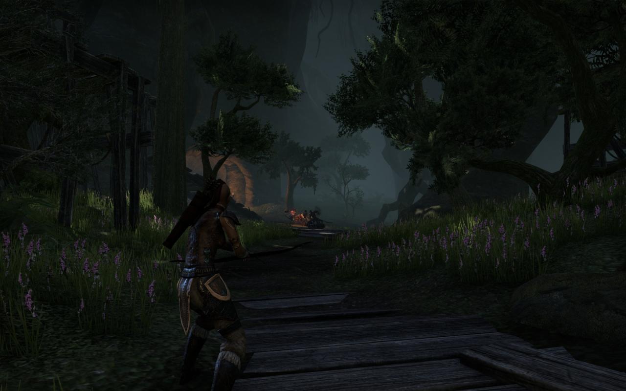 [16/04/2014] TESO - Elder Scrolls Online downsampled (61)