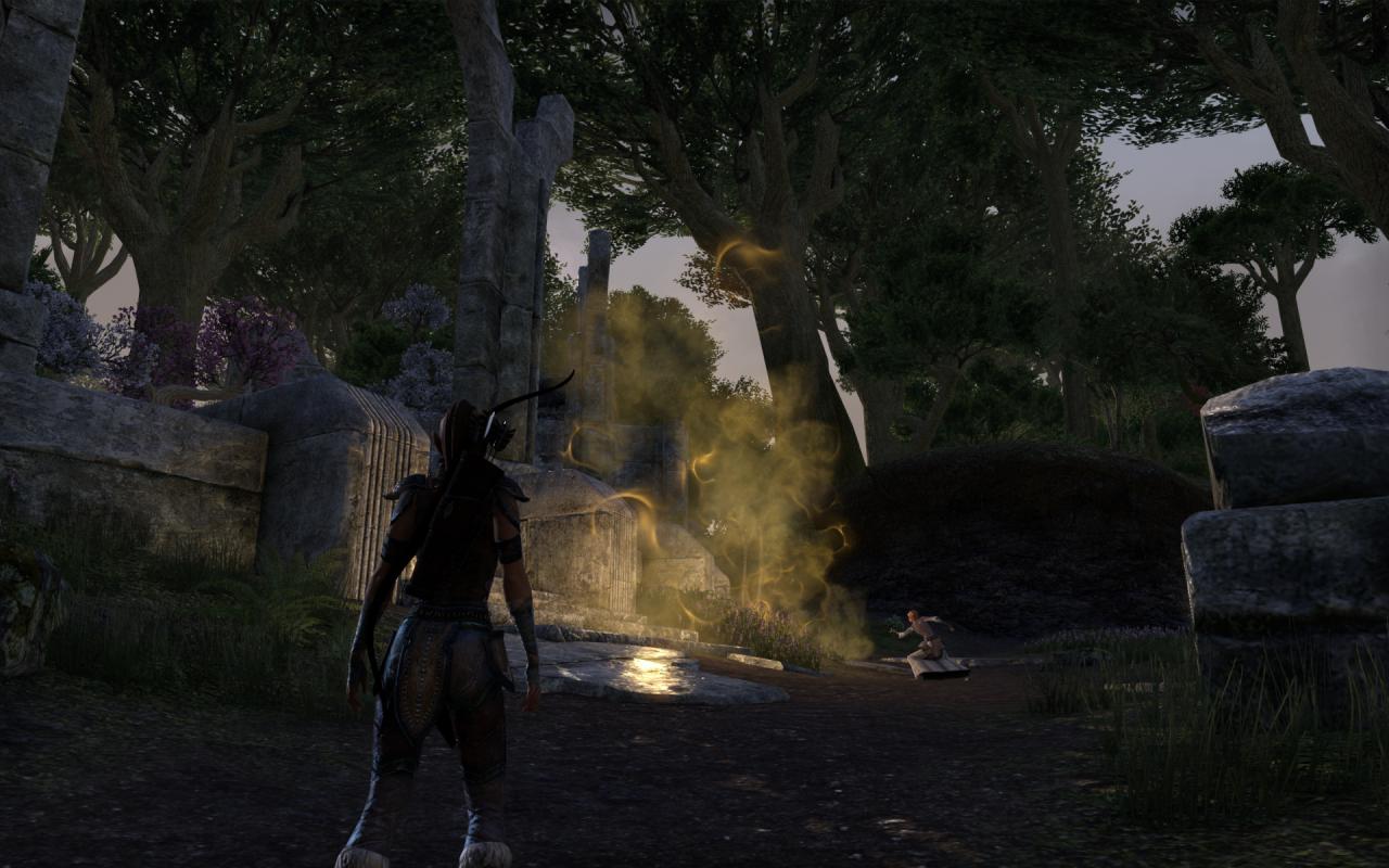 [16/04/2014] TESO - Elder Scrolls Online downsampled (65)