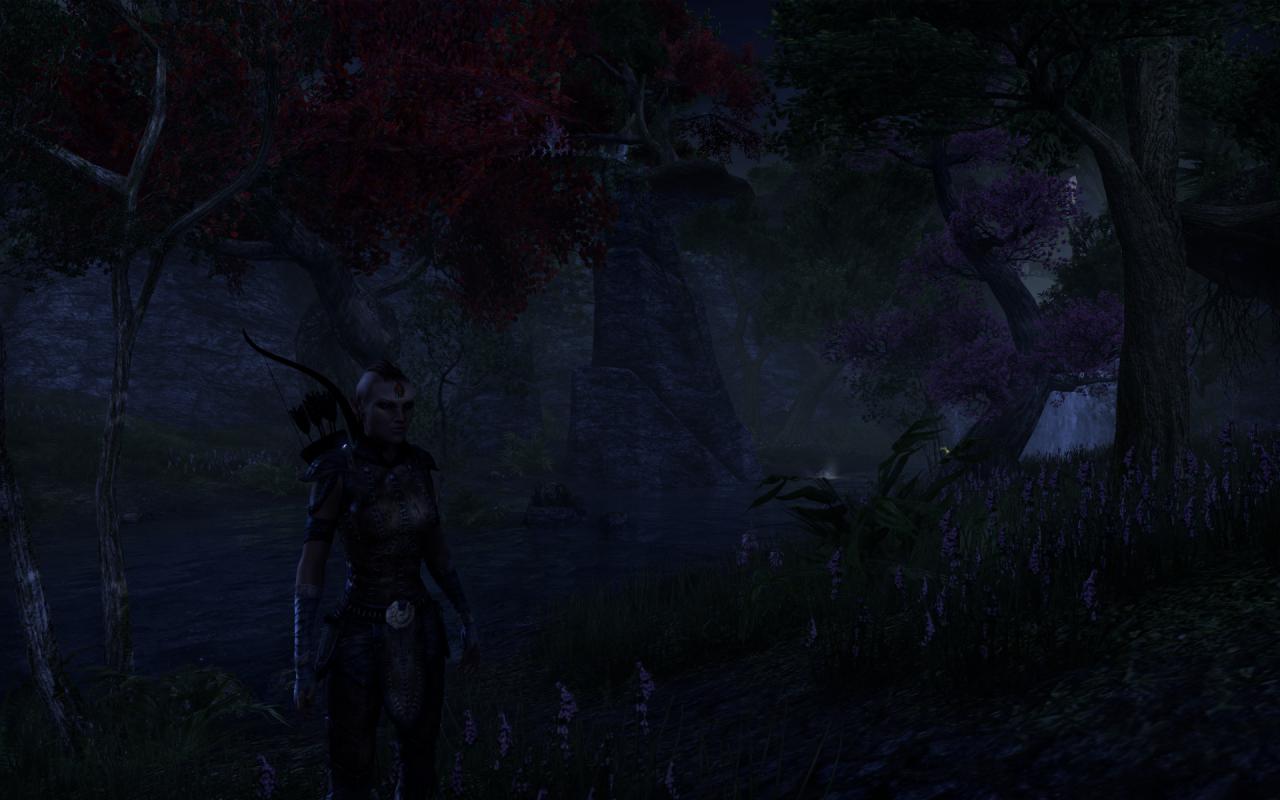 [16/04/2014] TESO - Elder Scrolls Online downsampled (67)