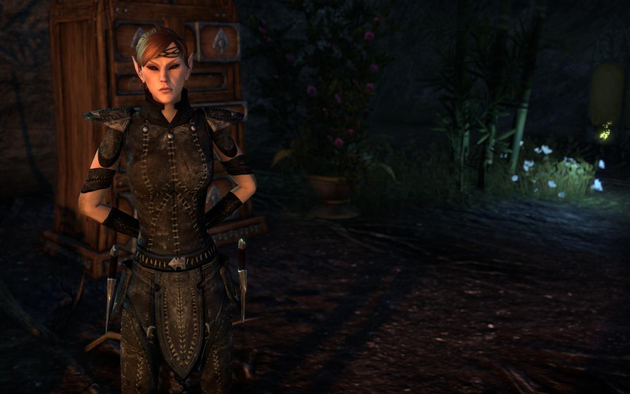 [16/04/2014] TESO - Elder Scrolls Online downsampled (7)