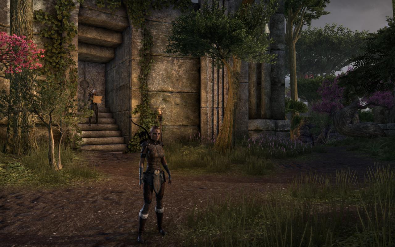 [16/04/2014] TESO - Elder Scrolls Online downsampled (70)