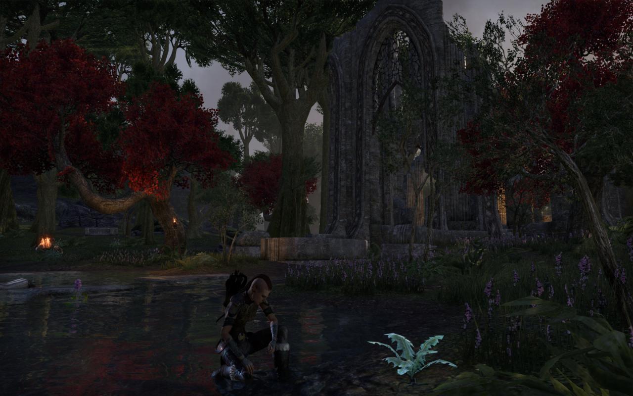 [16/04/2014] TESO - Elder Scrolls Online downsampled (71)
