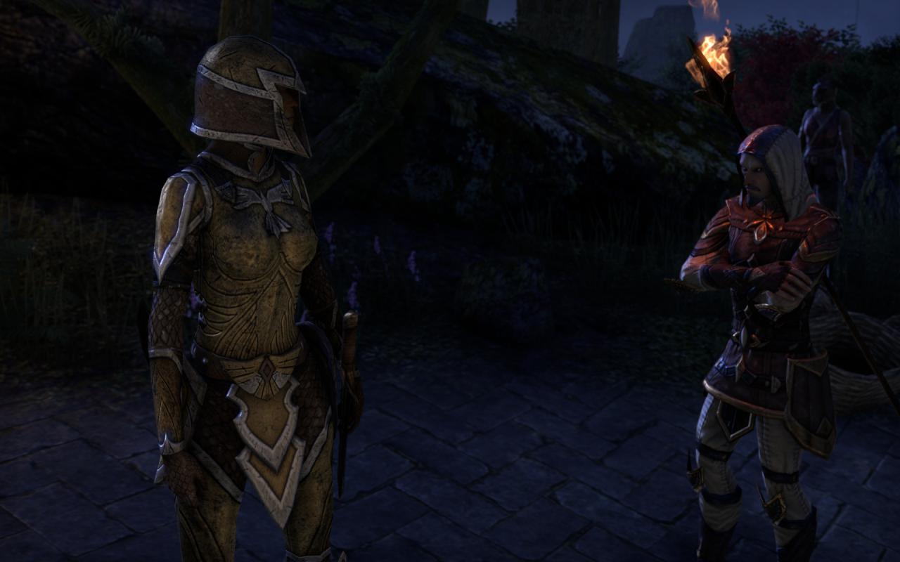 [16/04/2014] TESO - Elder Scrolls Online downsampled (74)