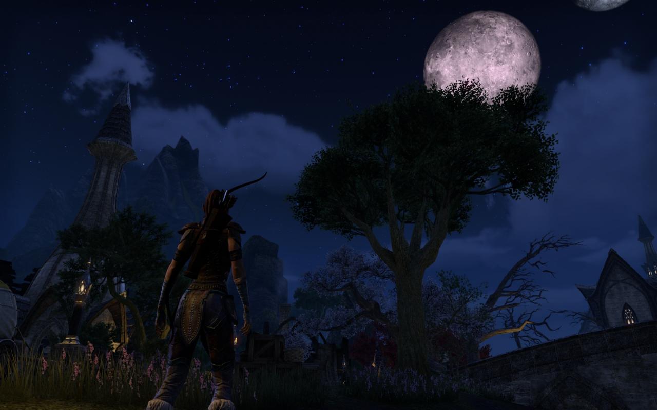 [16/04/2014] TESO - Elder Scrolls Online downsampled (76)