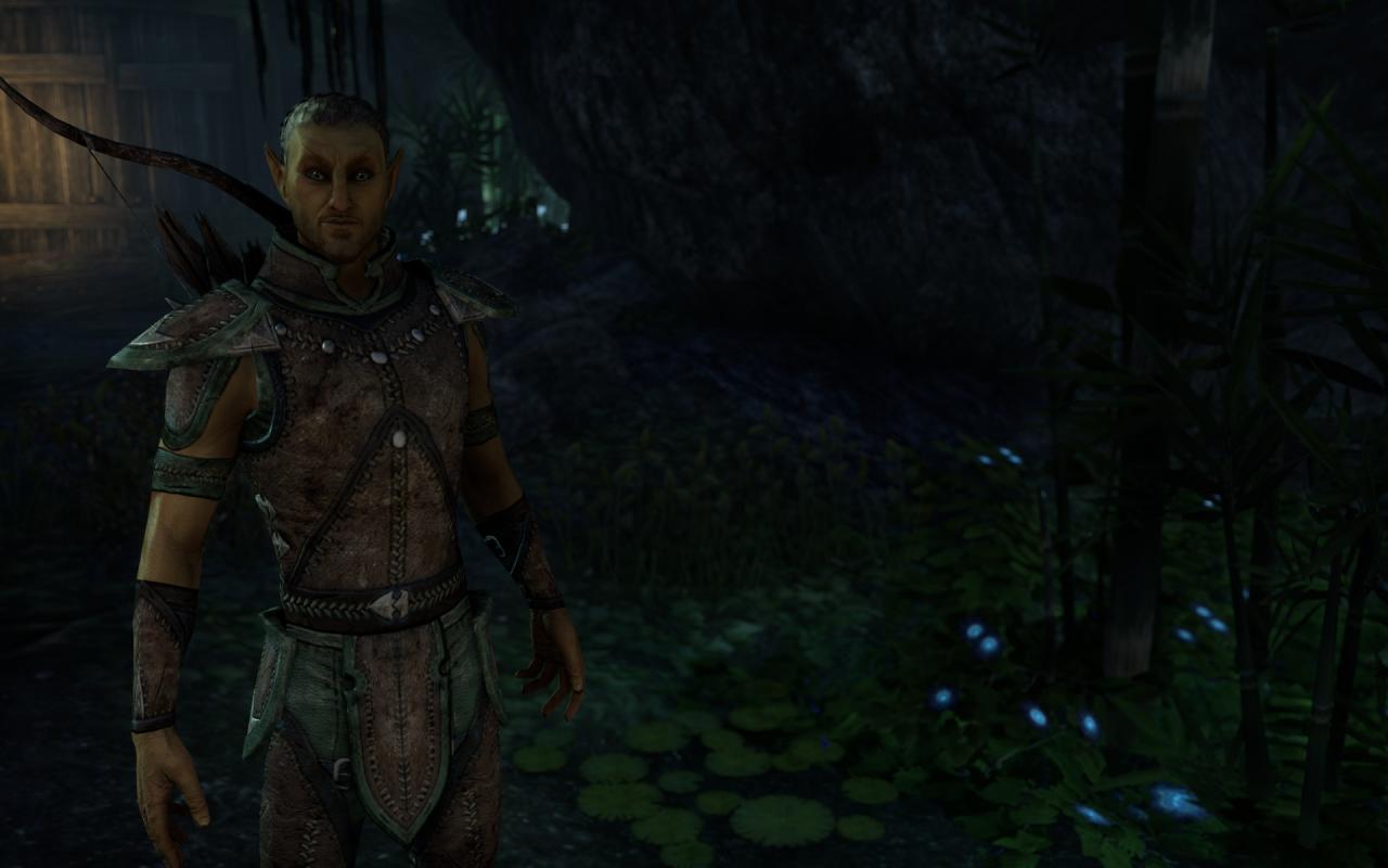 [16/04/2014] TESO - Elder Scrolls Online downsampled (9)