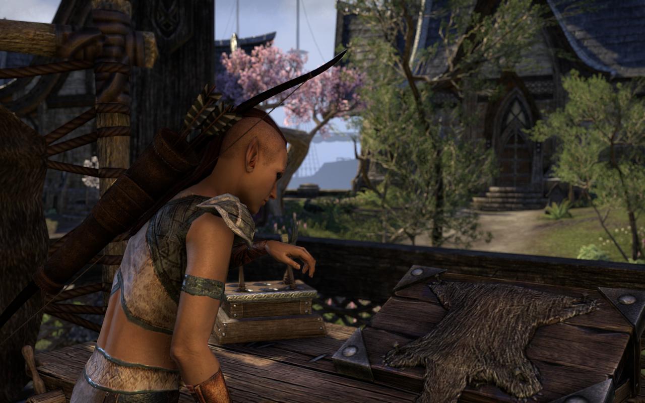 [16/04/2014] TESO - Elder Scrolls Online downsampled (11)
