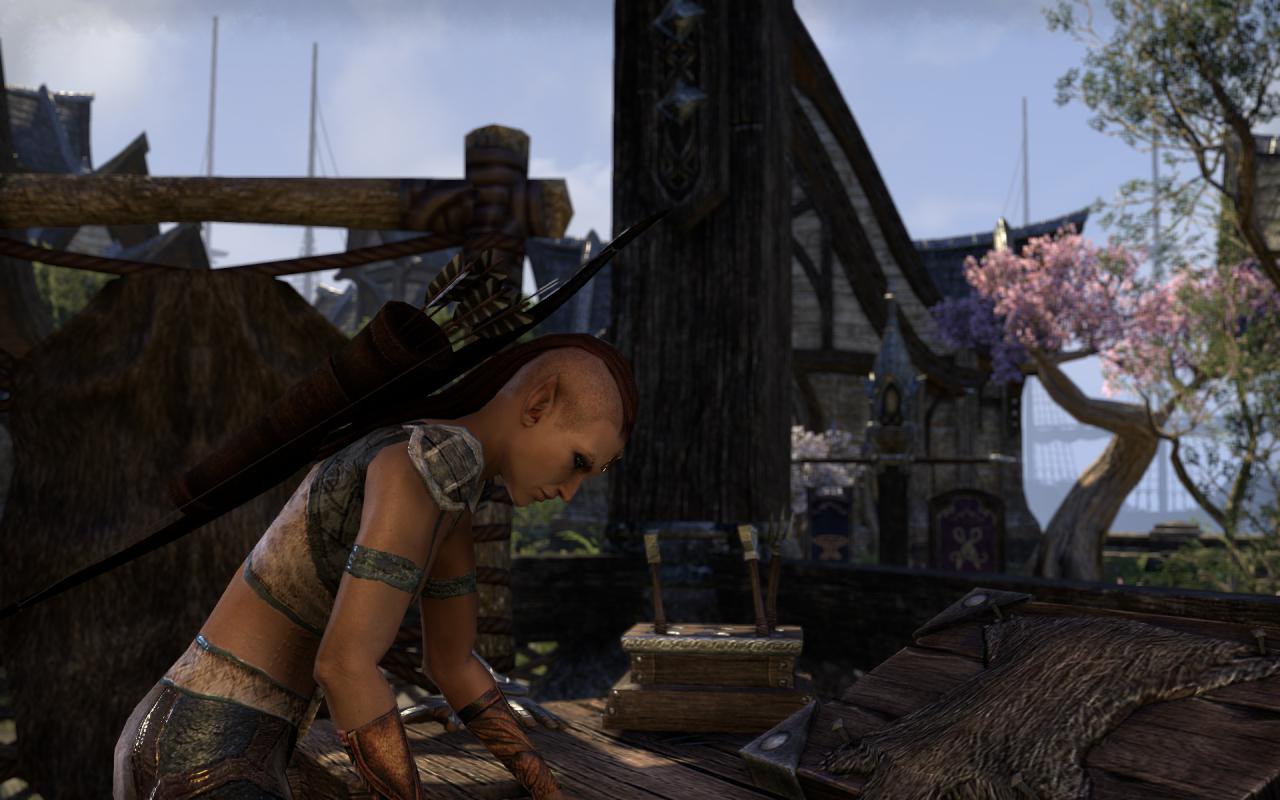 [16/04/2014] TESO - Elder Scrolls Online downsampled (12)
