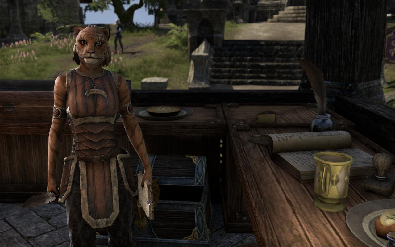 [16/04/2014] TESO - Elder Scrolls Online downsampled (13)