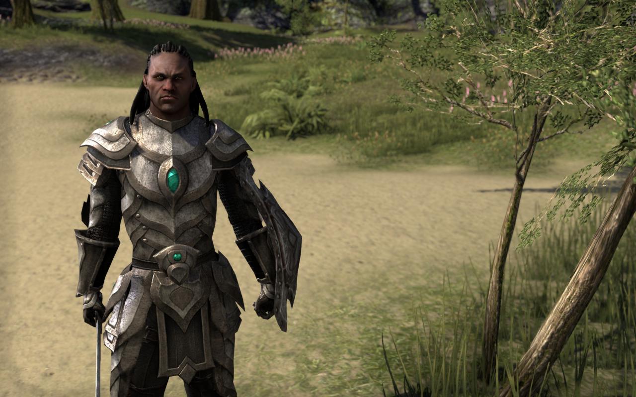 [16/04/2014] TESO - Elder Scrolls Online downsampled (14)