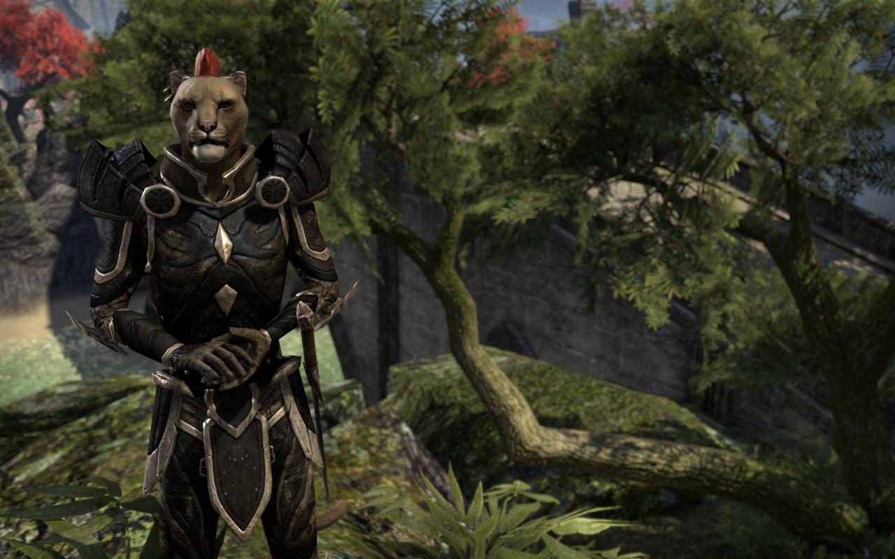 [16/04/2014] TESO - Elder Scrolls Online downsampled (17)