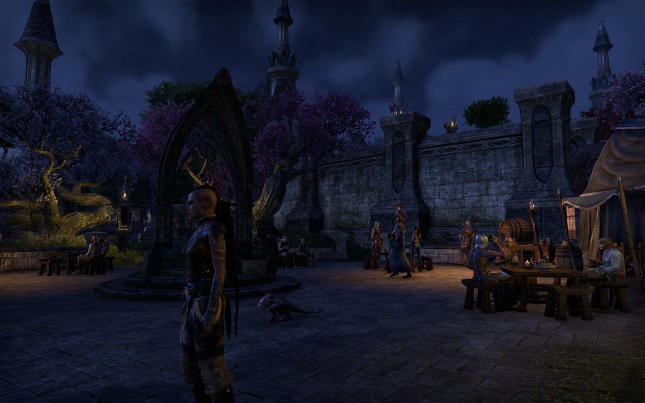 [16/04/2014] TESO - Elder Scrolls Online downsampled (26)
