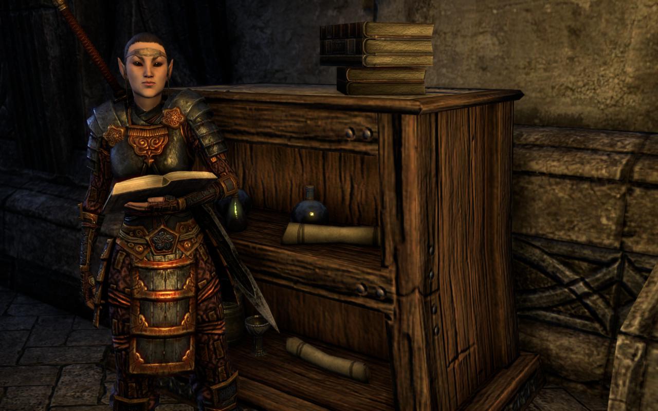 [16/04/2014] TESO - Elder Scrolls Online downsampled (27)