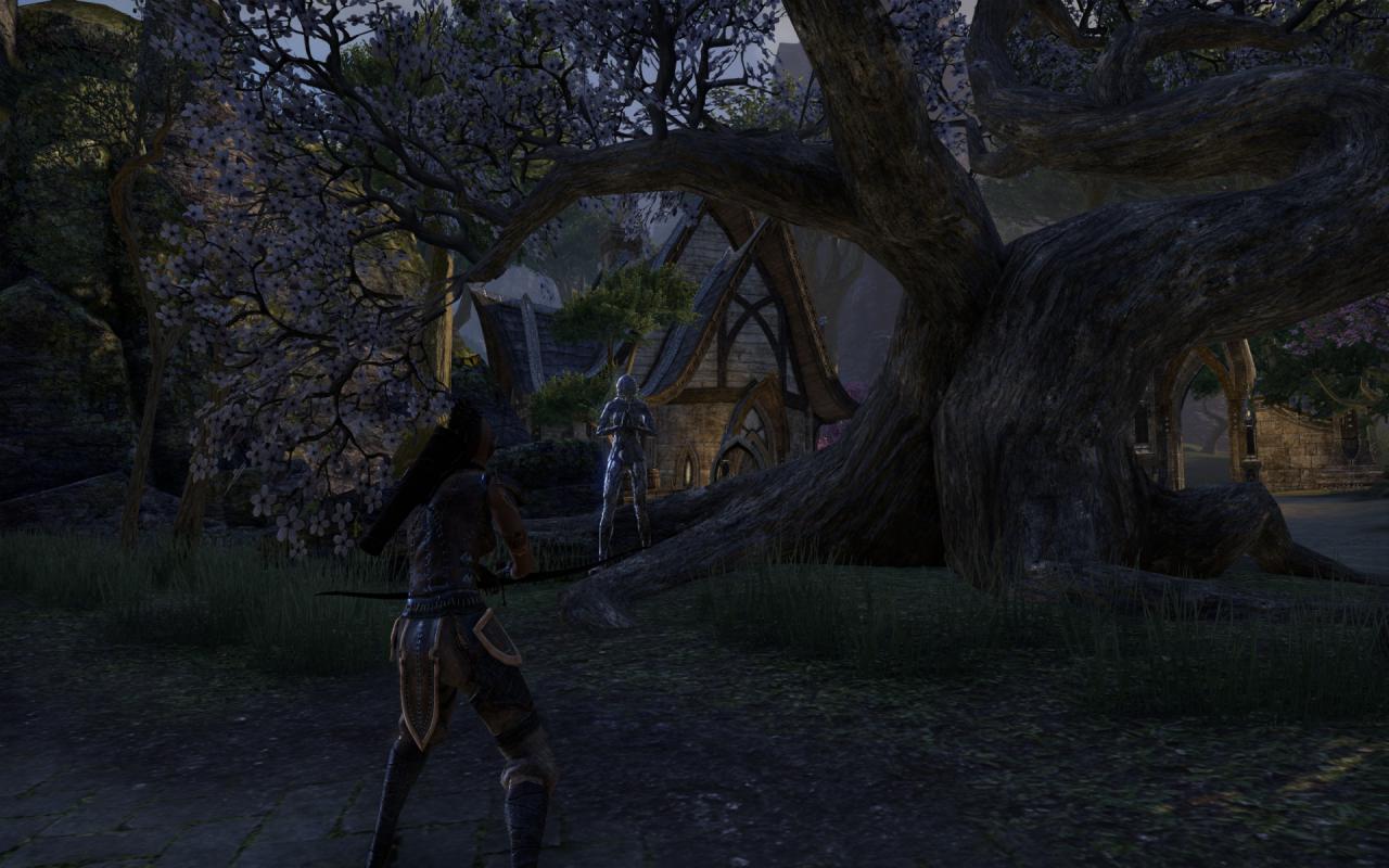[16/04/2014] TESO - Elder Scrolls Online downsampled (33)