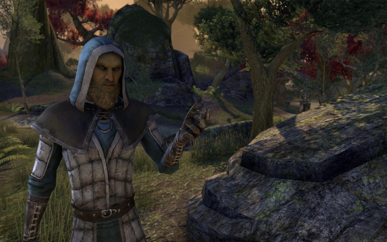 [16/04/2014] TESO - Elder Scrolls Online downsampled (36)