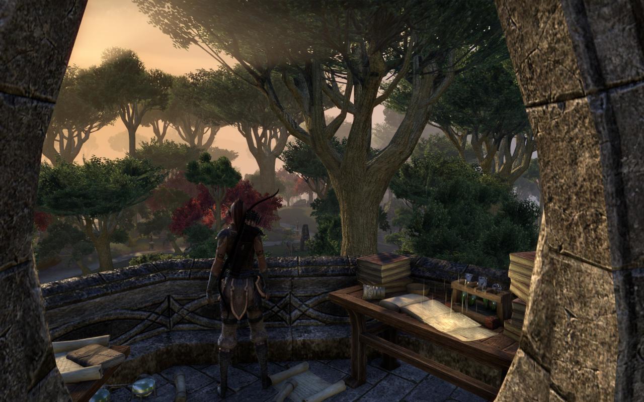 [16/04/2014] TESO - Elder Scrolls Online downsampled (37)