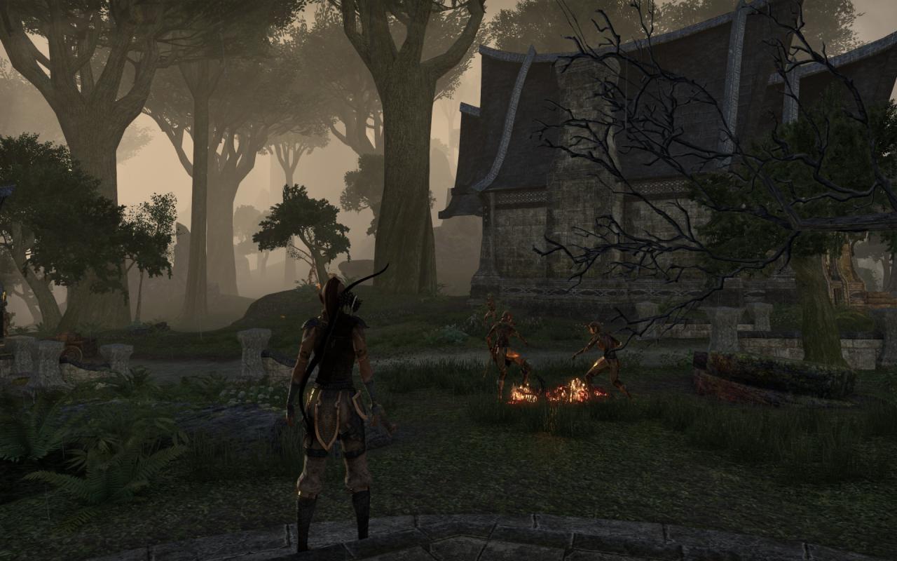 [16/04/2014] TESO - Elder Scrolls Online downsampled (41)