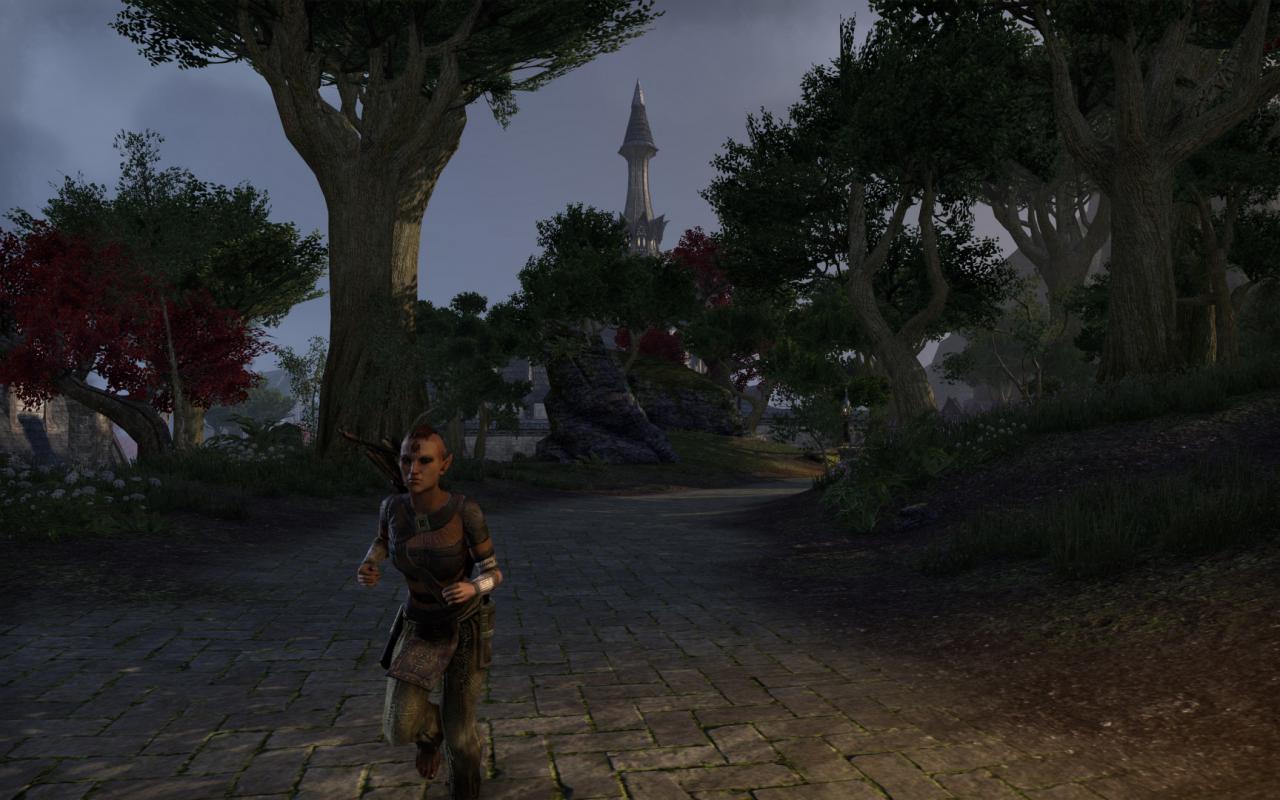 [15/04/2014] TESO - Elder Scrolls Online downsampled (42)