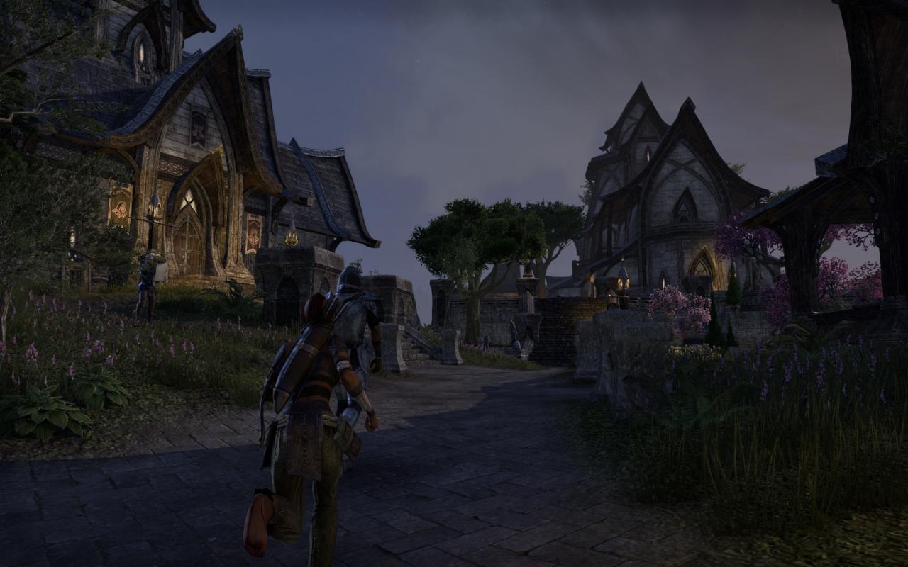 [15/04/2014] TESO - Elder Scrolls Online downsampled (47)