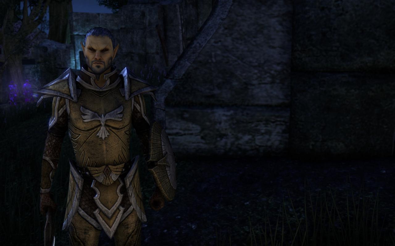 [15/04/2014] TESO - Elder Scrolls Online downsampled (83)