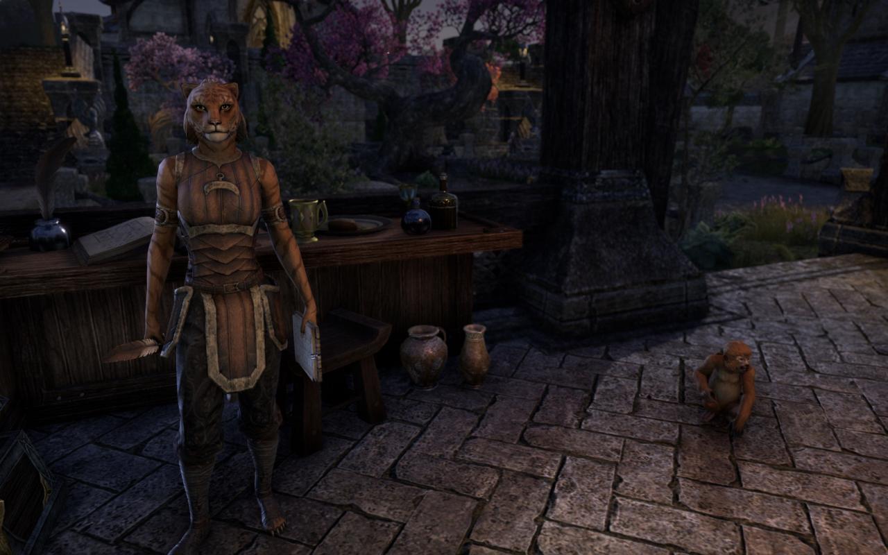 [15/04/2014] TESO - Elder Scrolls Online downsampled (52)