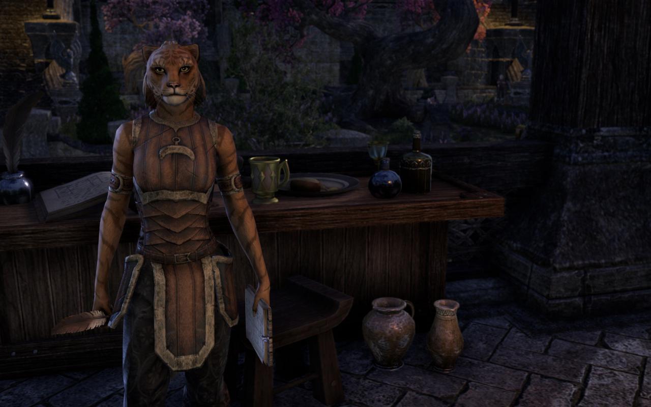 [15/04/2014] TESO - Elder Scrolls Online downsampled (58)