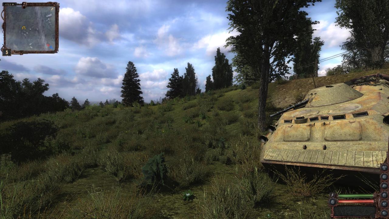 Grasdichte ~50 %