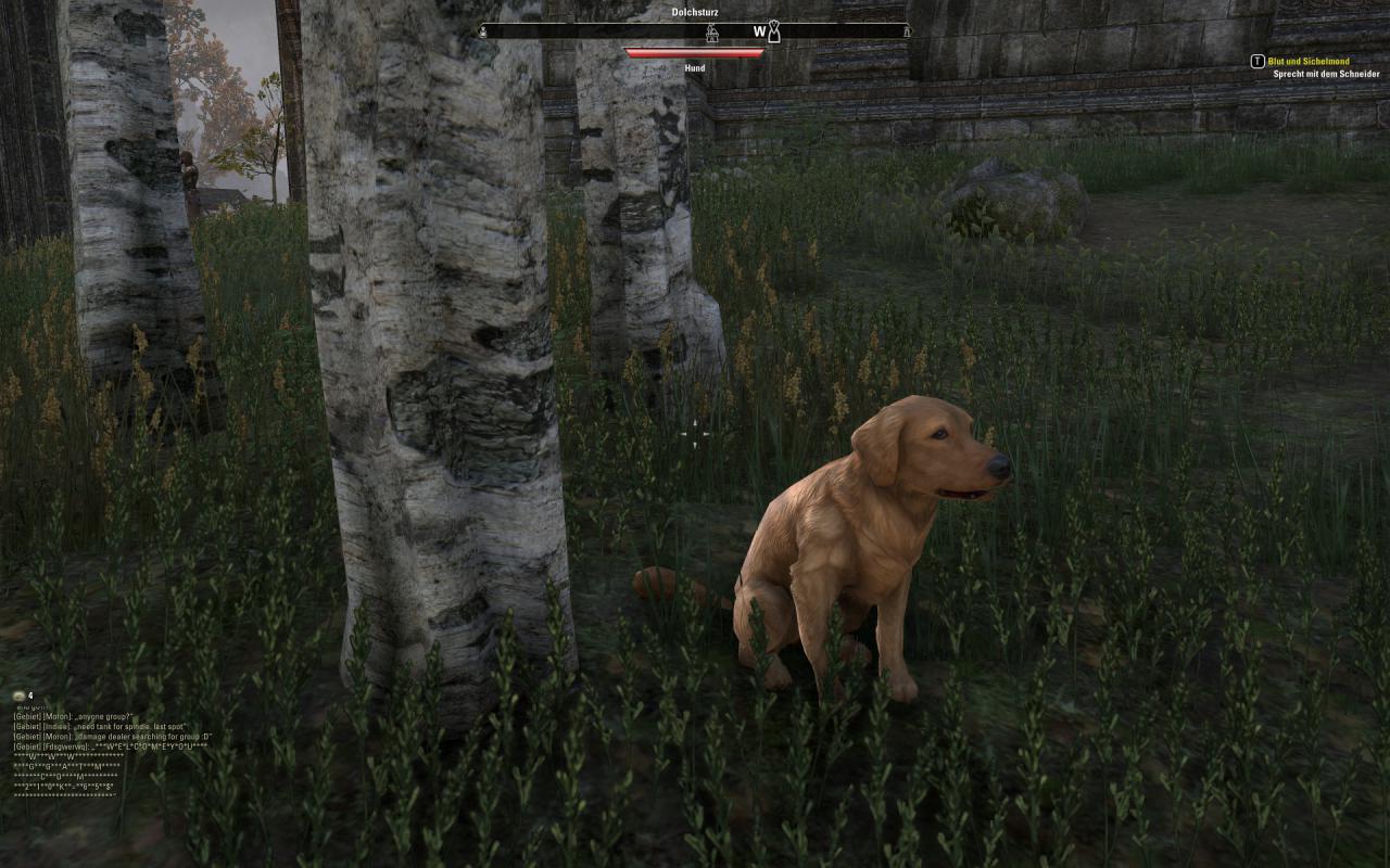 [15/04/2014] TESO - Elder Scrolls Online downsampled (27)