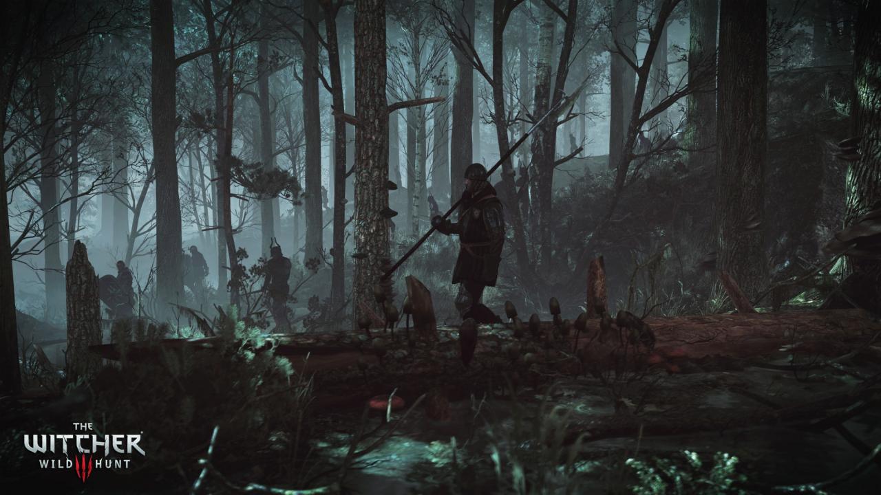 [13/06/2014] E3 2014: The Witcher 3: Wilde Jagd zieht einen mit Macht in die Welt des Hexers - doch ein Kritikpunkt bleibt (23)