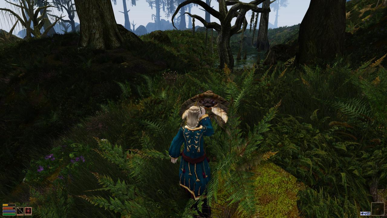 [03/07/2014] Morrowind Overhaul (4)