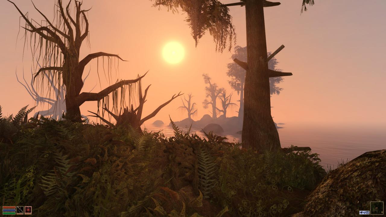 [03/07/2014] Morrowind Overhaul (12)