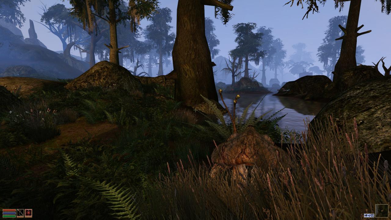[03/07/2014] Morrowind Overhaul (13)