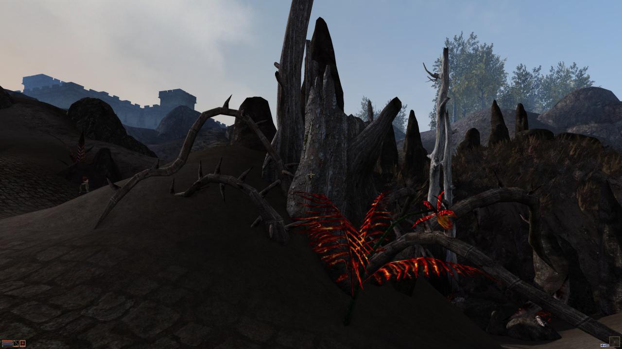 [03/07/2014] Morrowind Overhaul (27)