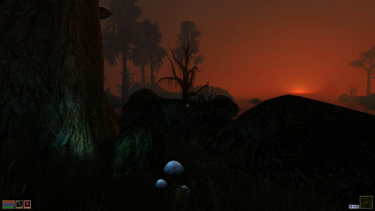 [03/07/2014] Morrowind Overhaul (39)