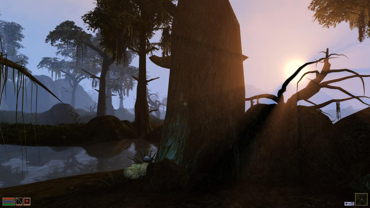[03/07/2014] Morrowind Overhaul (41)