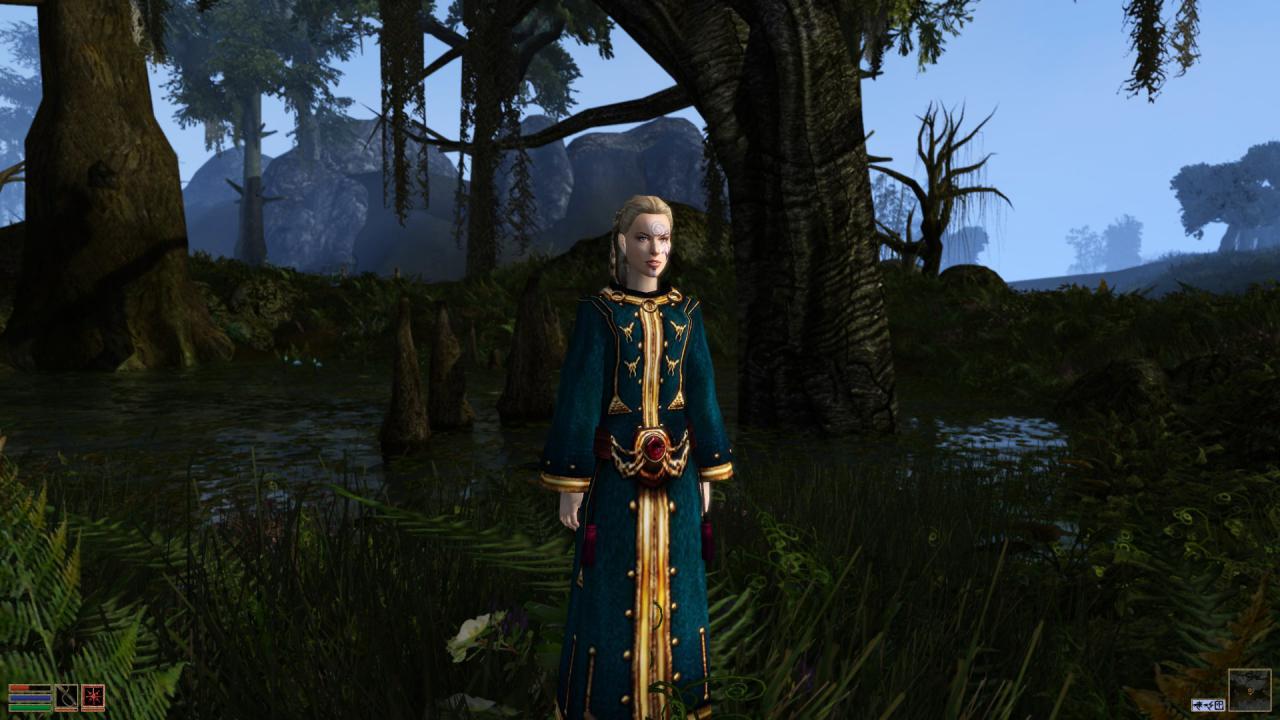 [03/07/2014] Morrowind Overhaul (43)