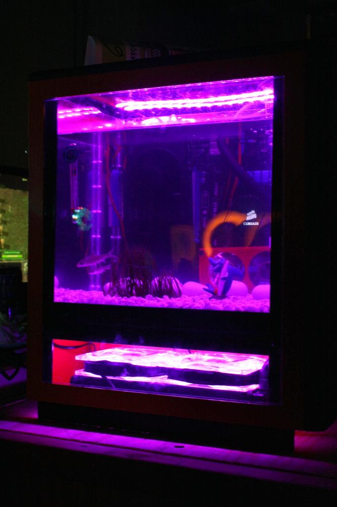 [23/07/2014] Hoffentlich ist dieser Aquariums-Mod wasserdicht.