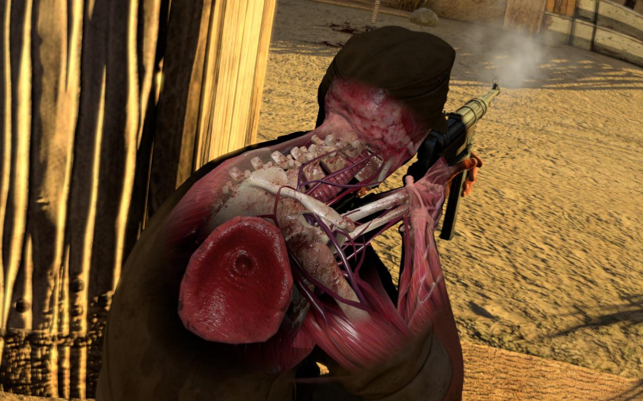 [01/07/2014] Sniper Elite 3: Wer erfolgreich 