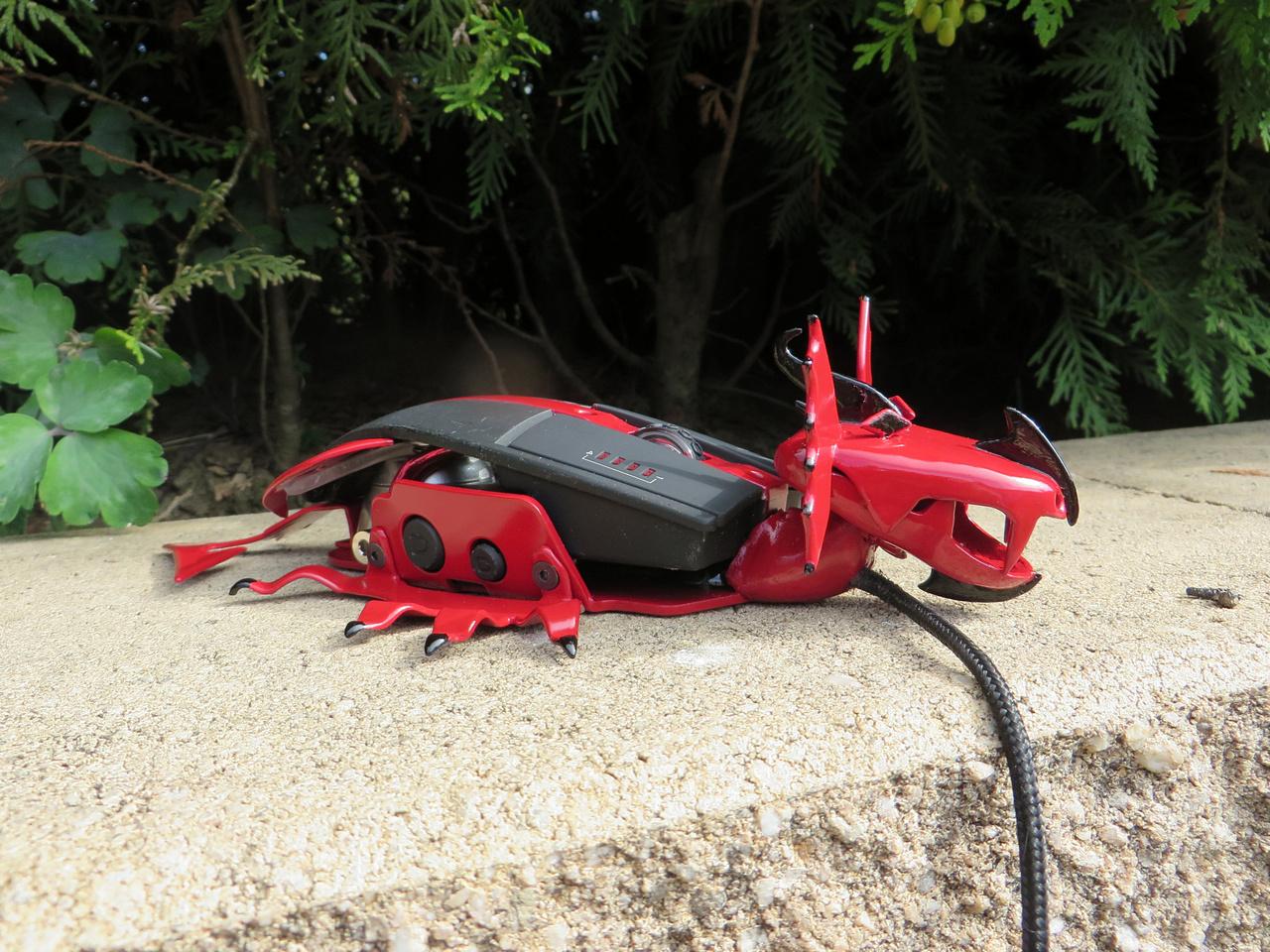 [15/08/2014] Update vom 17.08.2014: Wenn die Maus ein Drache ist ... (3)