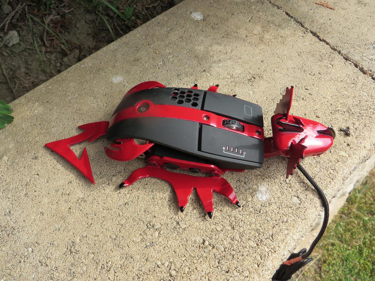 [15/08/2014] Update vom 17.08.2014: Wenn die Maus ein Drache ist ... (4)