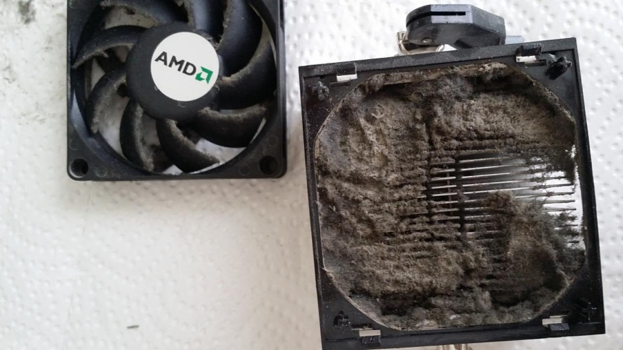 [29/08/2014] Noch mehr Staub im August 2014 (14)