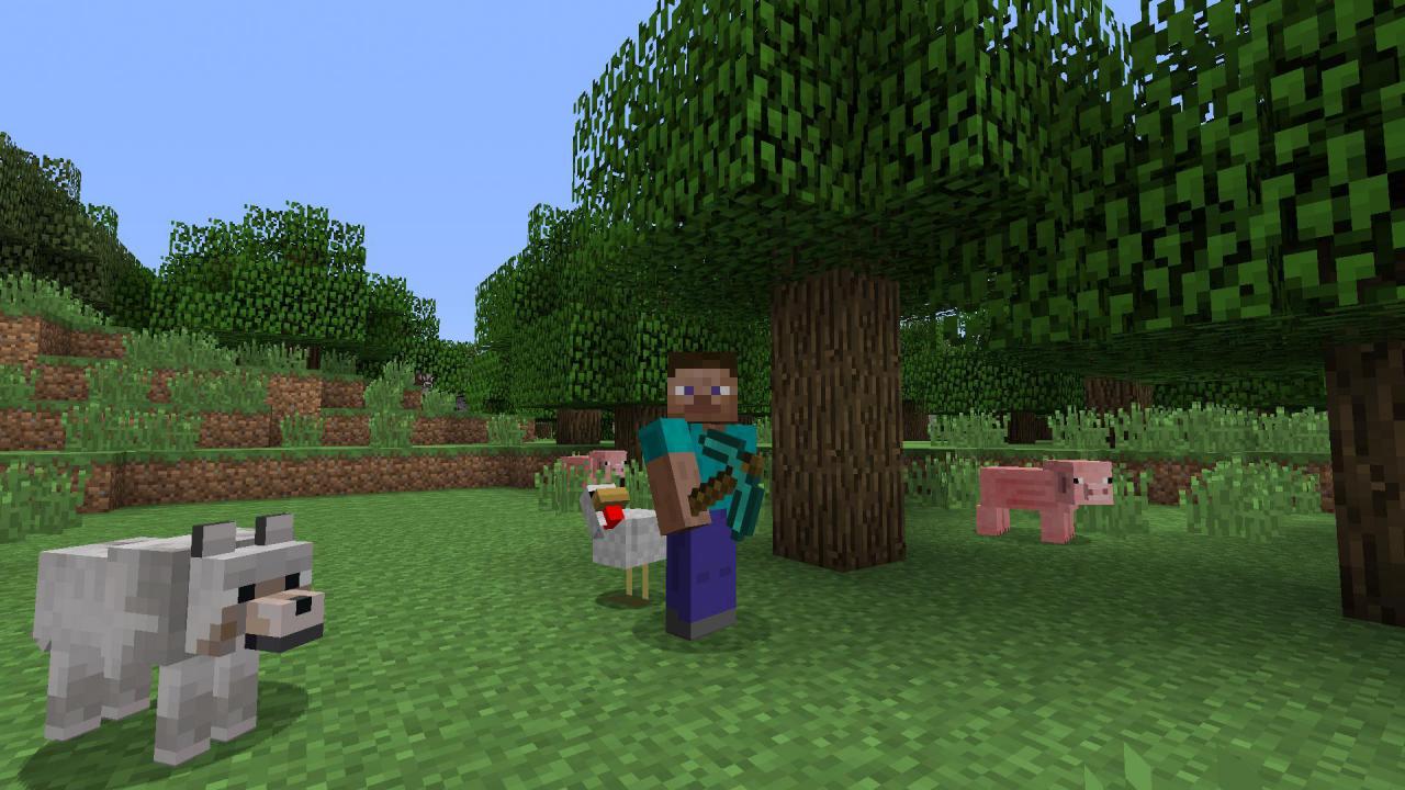 [05/09/2014] Minecraft: Das Klötzchenspiel kann auf der Konsole im lokalen Koop zusammen auf einer Map gespielt werden. So macht das Bauen sicher mehr Spaß, immerhin kann man sich die Arbeit schön untereinander aufteilen. (online: 8)