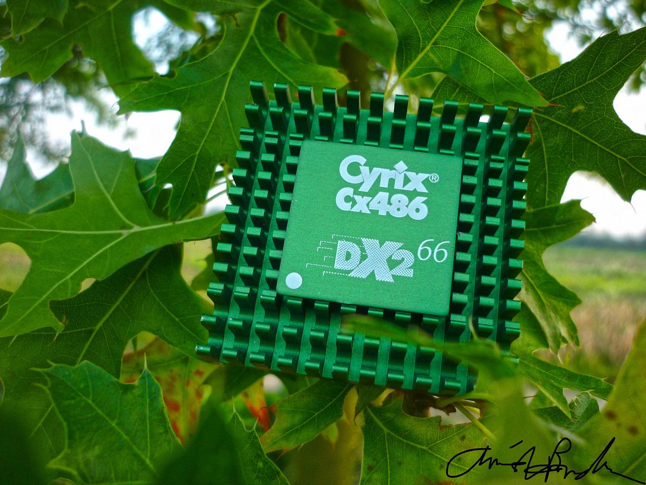 [19/09/2014] Update vom 20.09. mit Prozessoren in der Natur und Haswell-E (1)