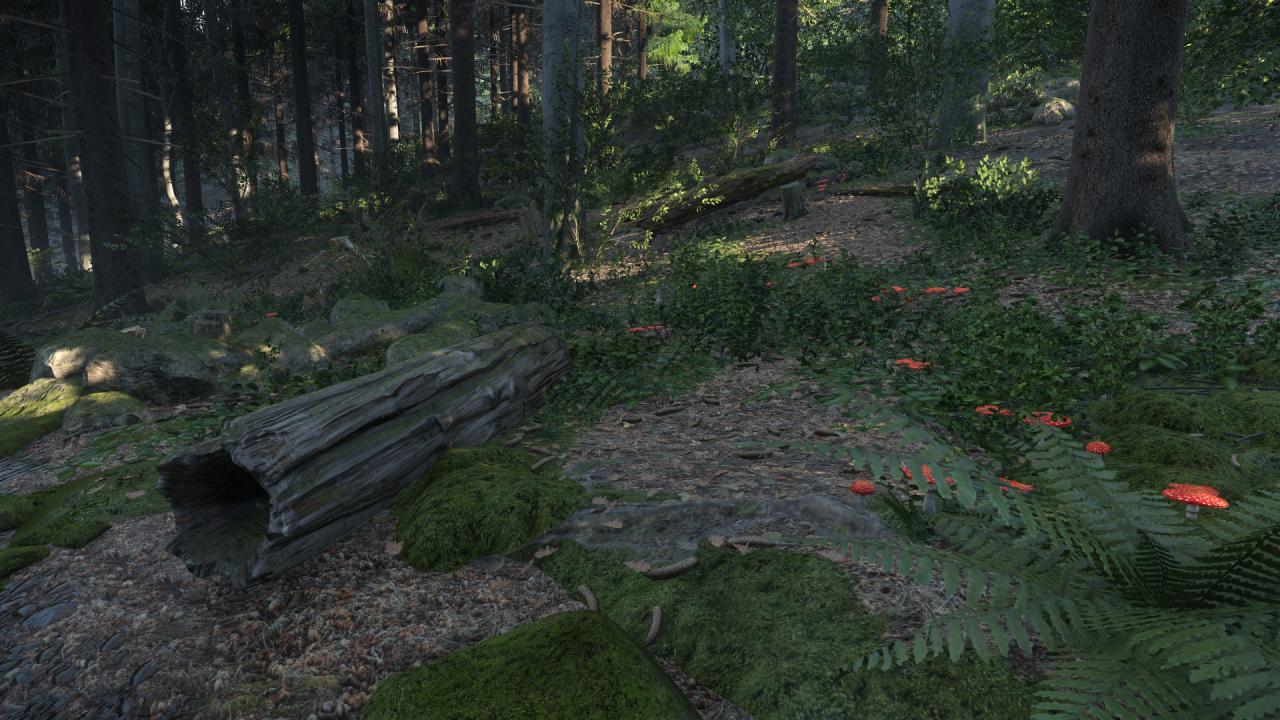 [24/10/2014] Kingdom Come: Deliverance: Technical Alpha 0.1 - 3.840 x 2.160 @ 1080p (37)