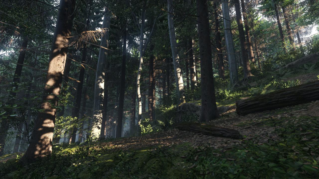 [24/10/2014] Kingdom Come: Deliverance: Technical Alpha 0.1 - 3.840 x 2.160 @ 1080p (38)