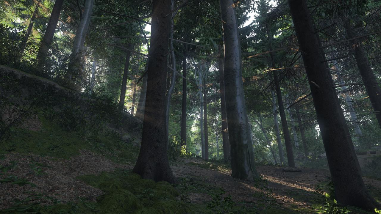 [24/10/2014] Kingdom Come: Deliverance: Technical Alpha 0.1 - 3.840 x 2.160 @ 1080p (39)