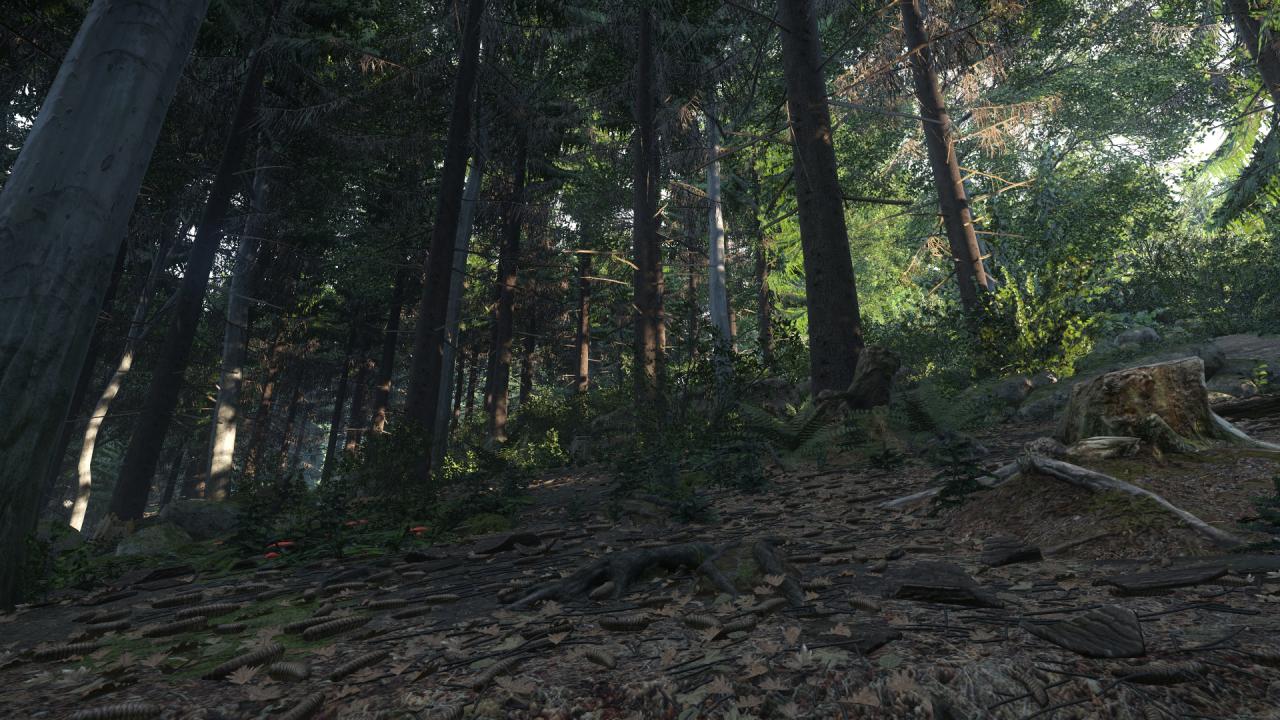[24/10/2014] Kingdom Come: Deliverance: Technical Alpha 0.1 - 3.840 x 2.160 @ 1080p (41)