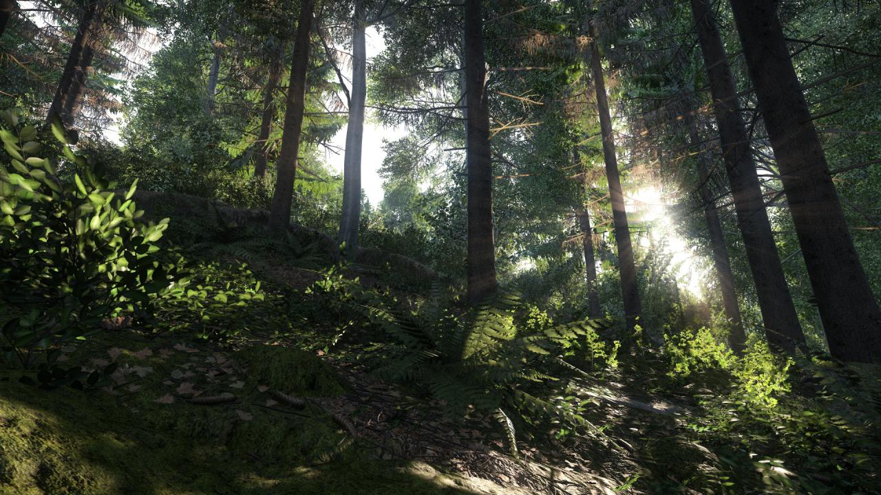 [24/10/2014] Kingdom Come: Deliverance: Technical Alpha 0.1 - 3.840 x 2.160 @ 1080p (43)