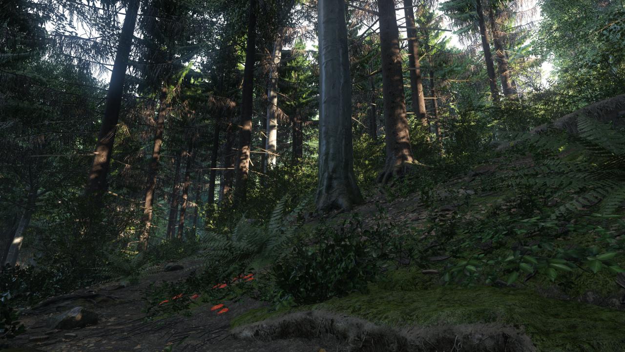 [24/10/2014] Kingdom Come: Deliverance: Technical Alpha 0.1 - 3.840 x 2.160 @ 1080p (44)