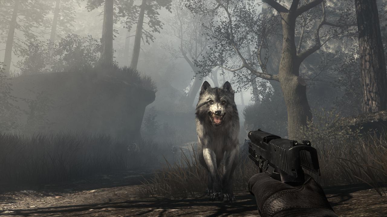 [31/10/2014] Call of Duty Ghosts mit Sweet FX (Luma Sharpen 2.00), 4x TXAA, 2x SGSSAA; downsampled von 2.880 × 1.620 (29)